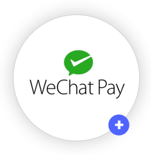 WeChat Pay Icon